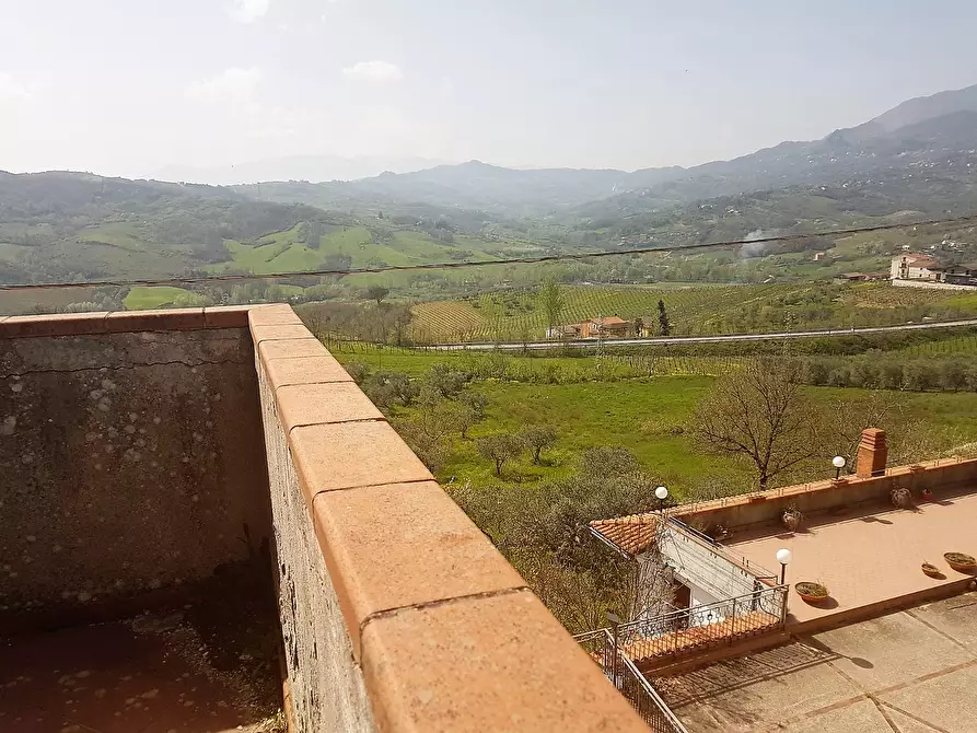 Immagine 31 di Villa in vendita  in Via Consortile Vitulanese snc a Apollosa