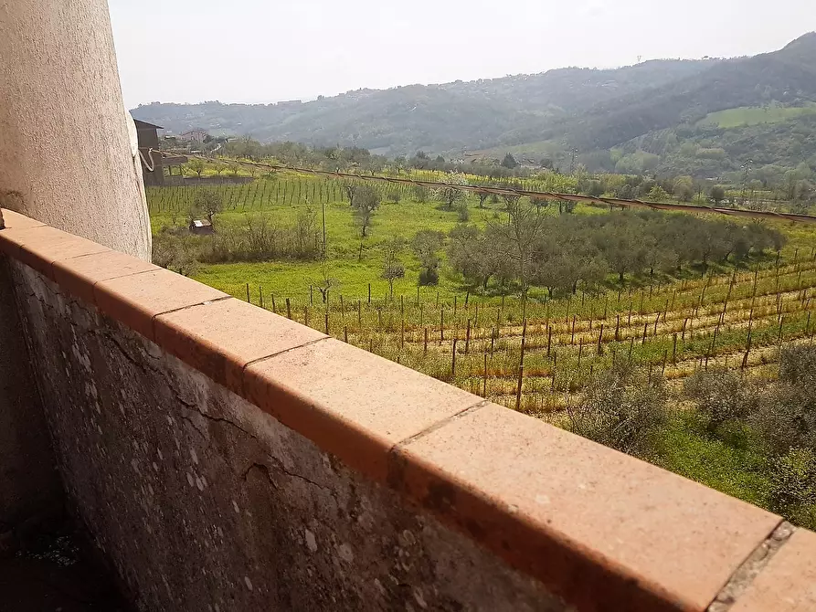 Immagine 32 di Villa in vendita  in Via Consortile Vitulanese snc a Apollosa