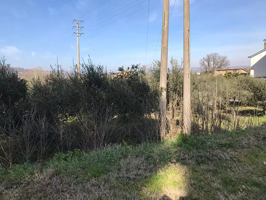 Immagine 9 di Terreno residenziale in vendita  in Santa Clementina a Benevento