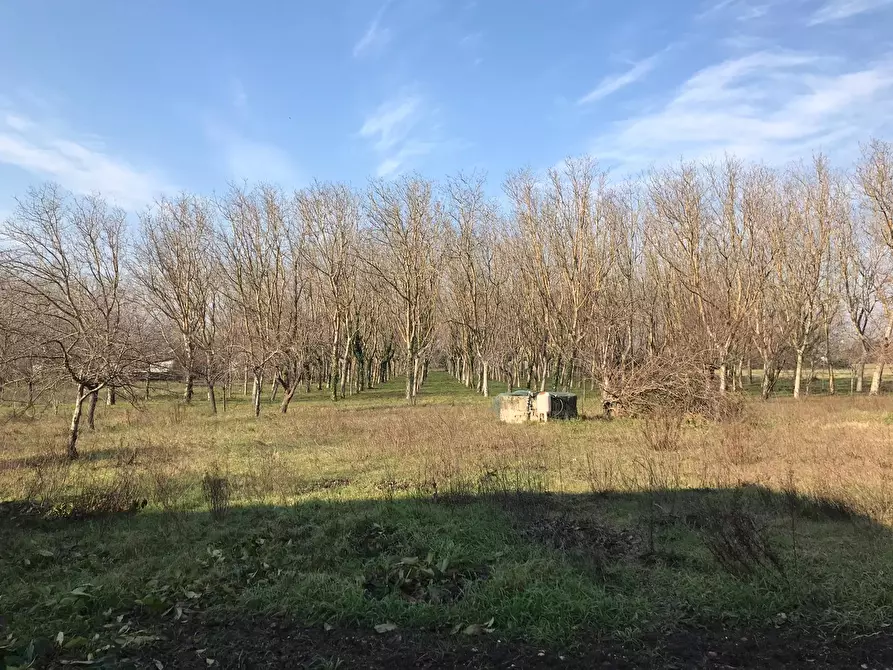 Immagine 8 di Terreno residenziale in vendita  in Santa Clementina a Benevento