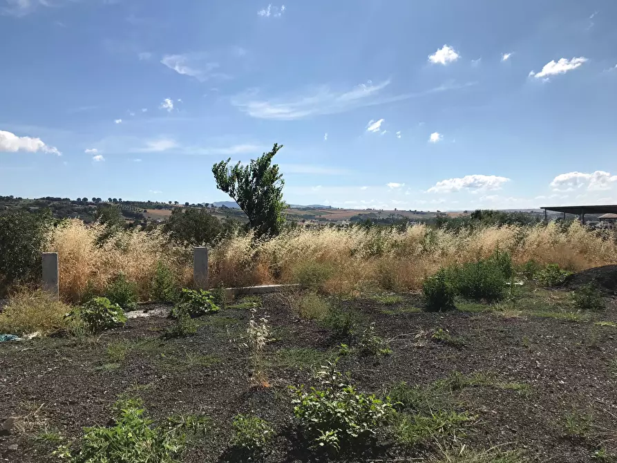 Immagine 18 di Casa indipendente in vendita  in Pietrelcina a Baselice