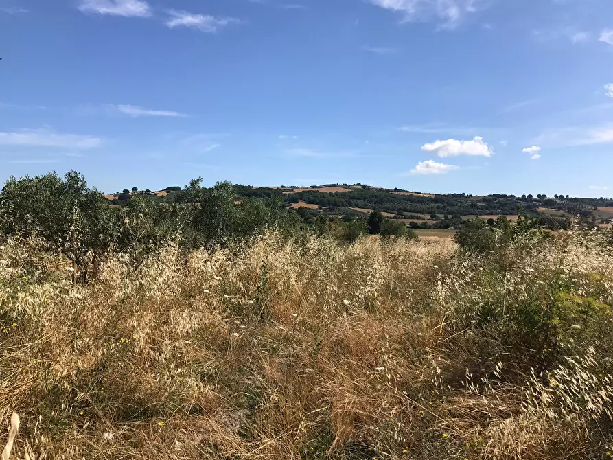 Immagine 17 di Casa indipendente in vendita  in Pietrelcina a Baselice