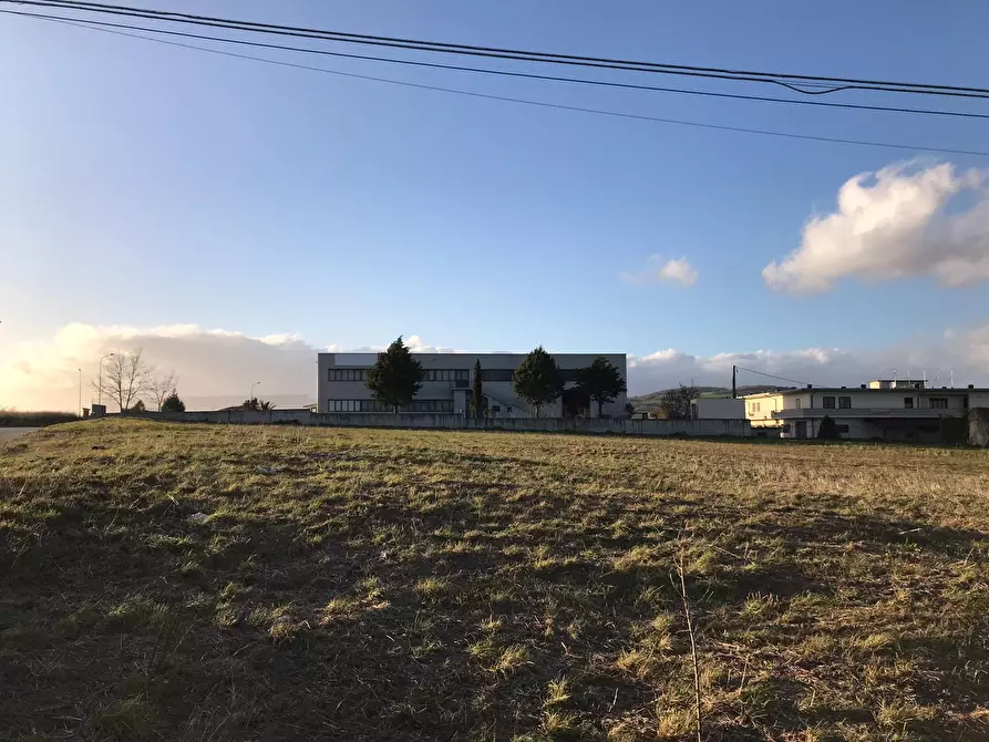 Immagine 5 di Terreno residenziale in vendita  in Pietrelcina a Pietrelcina