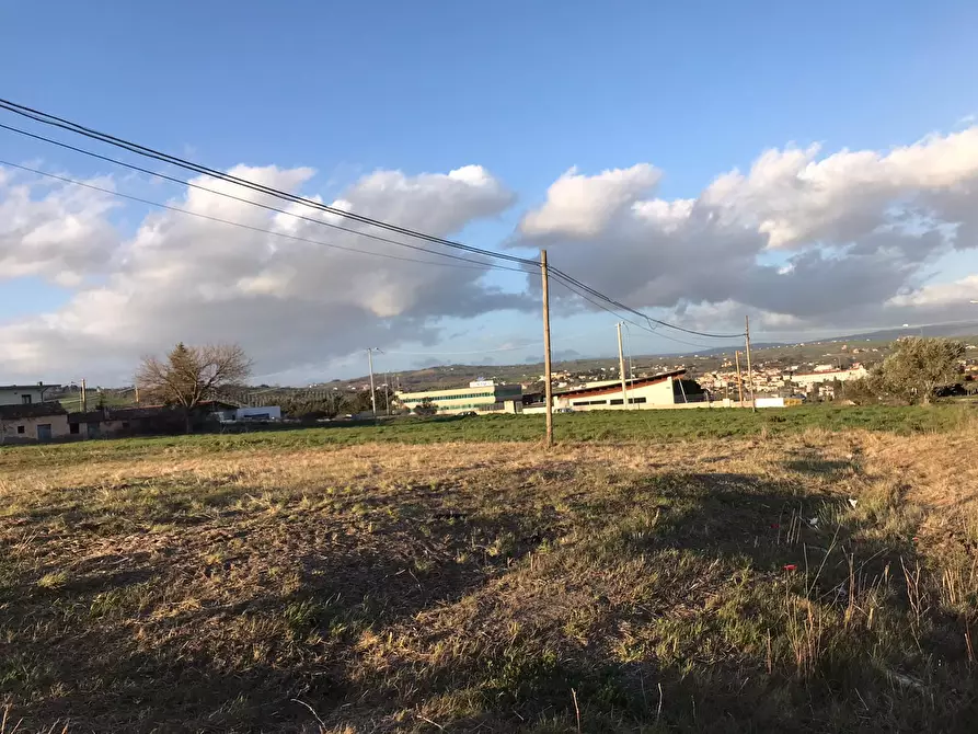 Immagine 7 di Terreno residenziale in vendita  in Pietrelcina a Pietrelcina