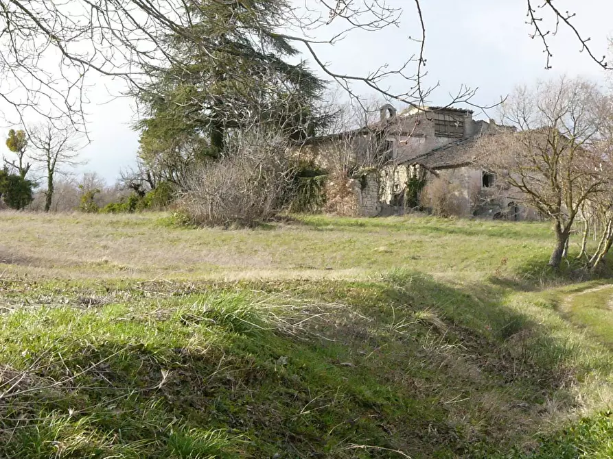 Immagine 9 di Rustico / casale in vendita  in Contrada Campolavoro a Riccia