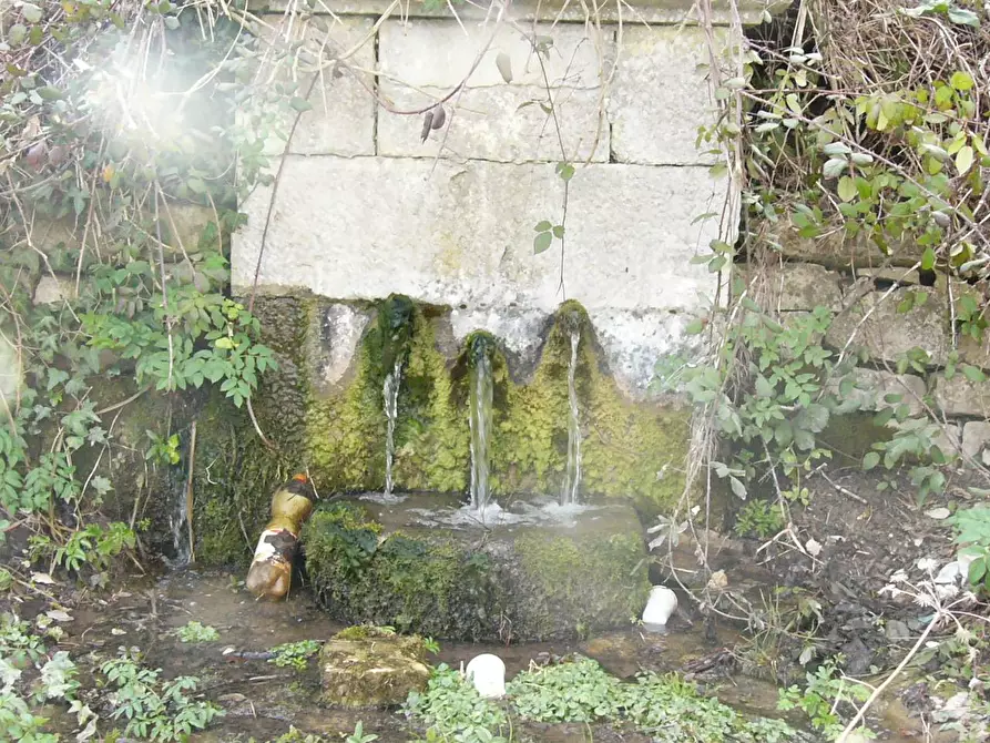 Immagine 17 di Rustico / casale in vendita  in Contrada Campolavoro a Riccia