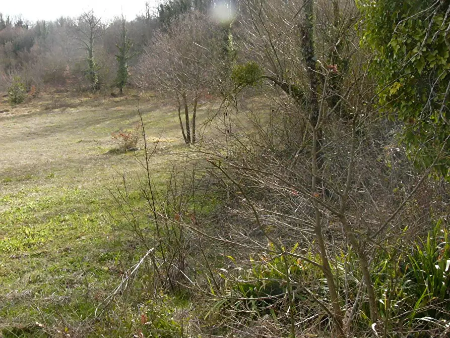 Immagine 45 di Rustico / casale in vendita  in Contrada Campolavoro a Riccia