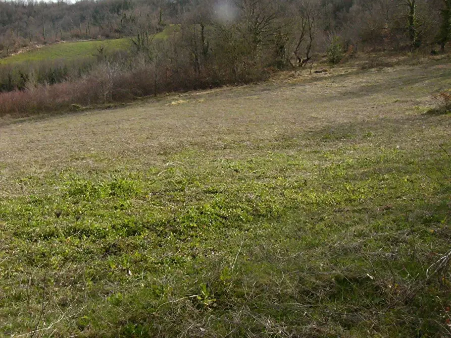 Immagine 48 di Rustico / casale in vendita  in Contrada Campolavoro a Riccia