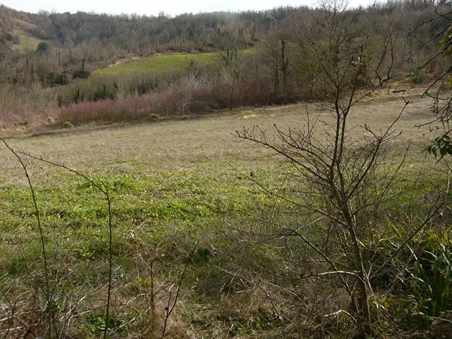 Immagine 47 di Rustico / casale in vendita  in Contrada Campolavoro a Riccia
