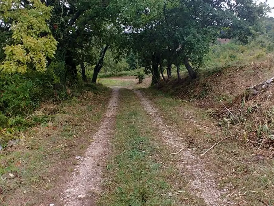 Immagine 44 di Rustico / casale in vendita  in Contrada Campolavoro a Riccia