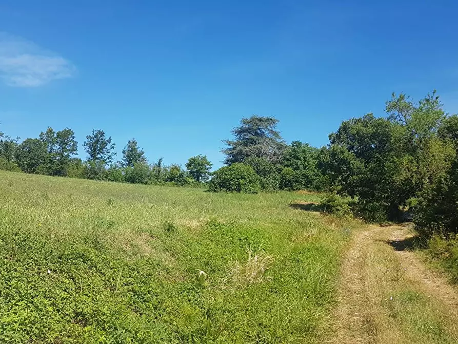 Immagine 43 di Rustico / casale in vendita  in Contrada Campolavoro a Riccia