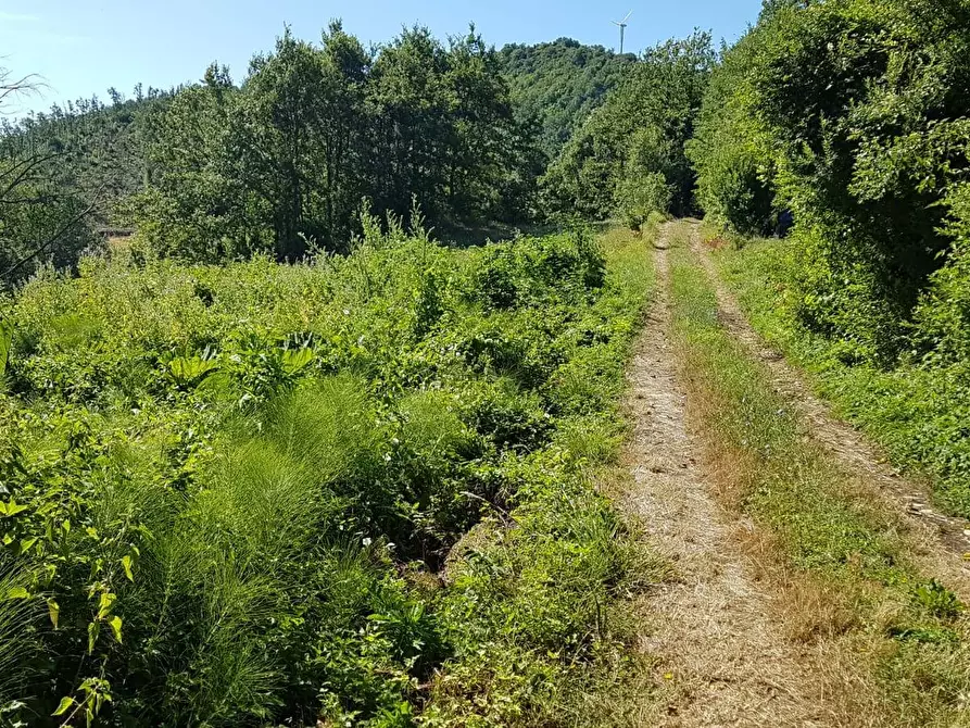 Immagine 46 di Rustico / casale in vendita  in Contrada Campolavoro a Riccia