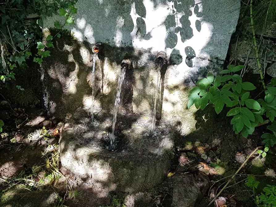 Immagine 19 di Rustico / casale in vendita  in Contrada Campolavoro a Riccia