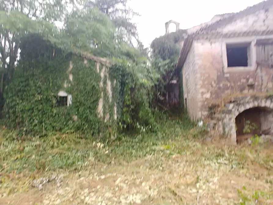 Immagine 24 di Rustico / casale in vendita  in Contrada Campolavoro a Riccia
