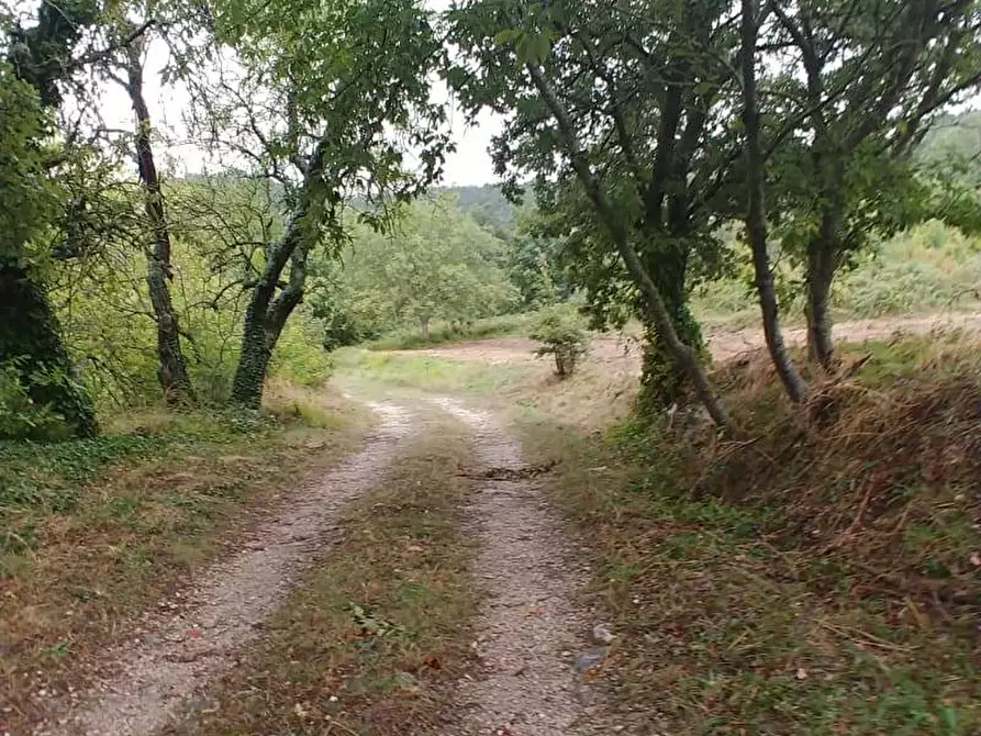 Immagine 29 di Rustico / casale in vendita  in Contrada Campolavoro a Riccia