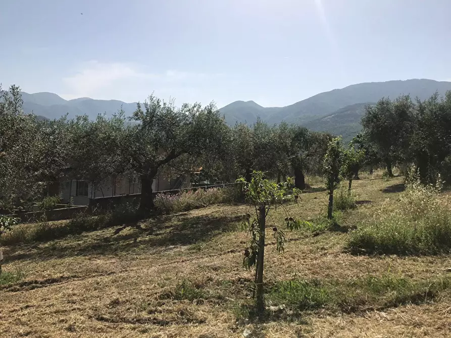 Immagine 3 di Locale commerciale in vendita  in Via Sala - ZONA iNDUSTRIALE a Apollosa