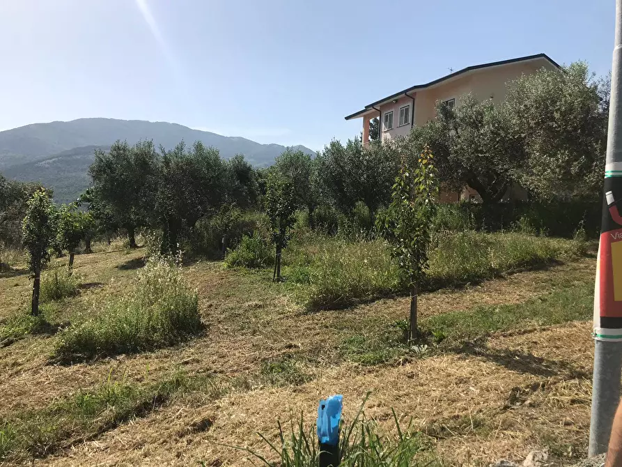 Immagine 4 di Locale commerciale in vendita  in Via Sala - ZONA iNDUSTRIALE a Apollosa