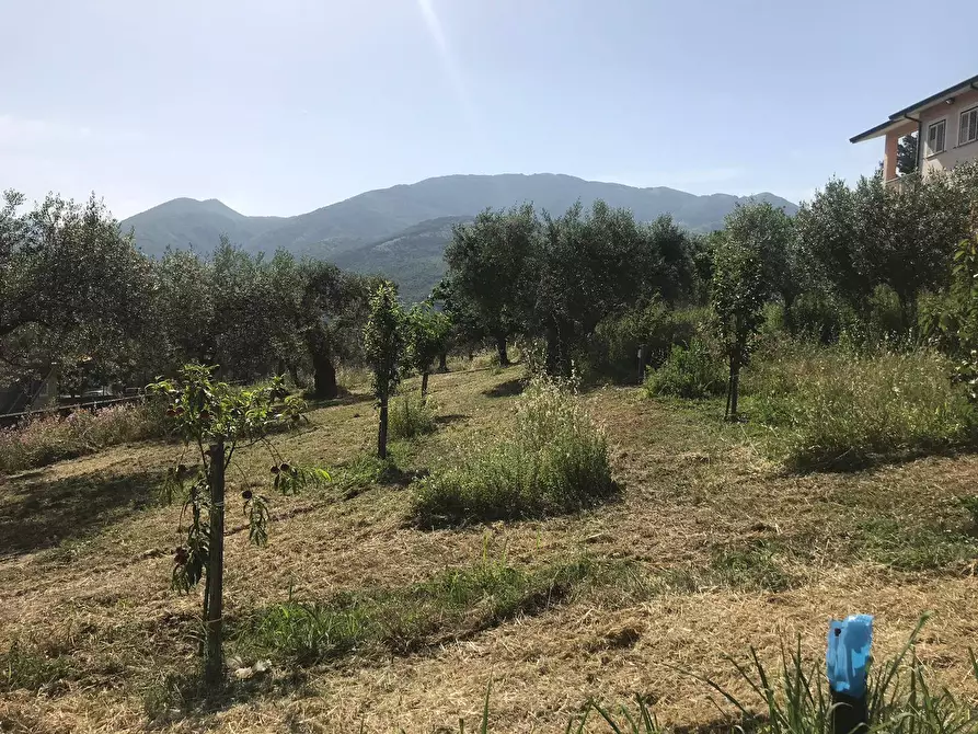 Immagine 5 di Locale commerciale in vendita  in Via Sala - ZONA iNDUSTRIALE a Apollosa