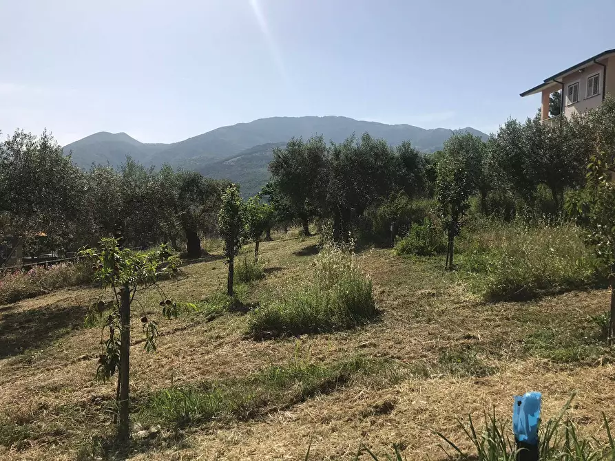 Immagine 2 di Locale commerciale in vendita  in Via Sala - ZONA iNDUSTRIALE a Apollosa