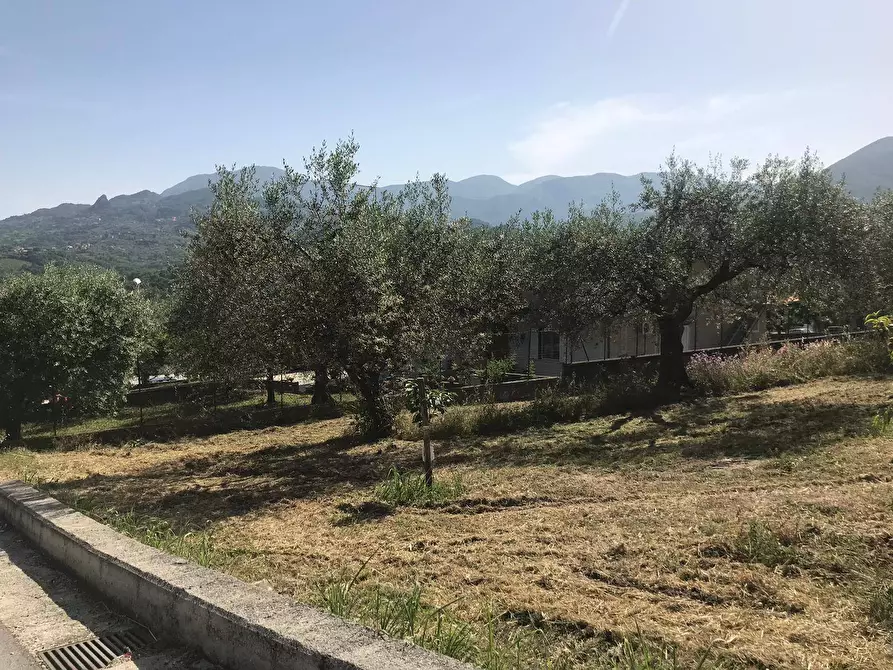 Immagine 6 di Locale commerciale in vendita  in Via Sala - ZONA iNDUSTRIALE a Apollosa