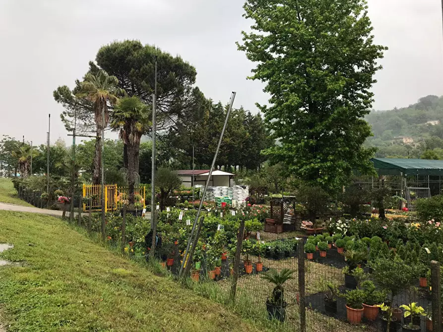 Immagine 4 di Locale commerciale in vendita  in Contrada Pontecorvo 32 a Benevento