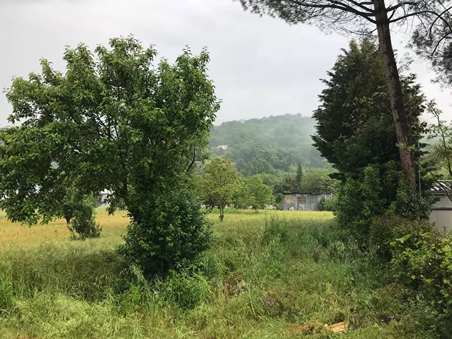 Immagine 6 di Locale commerciale in vendita  in Contrada Pontecorvo 32 a Benevento