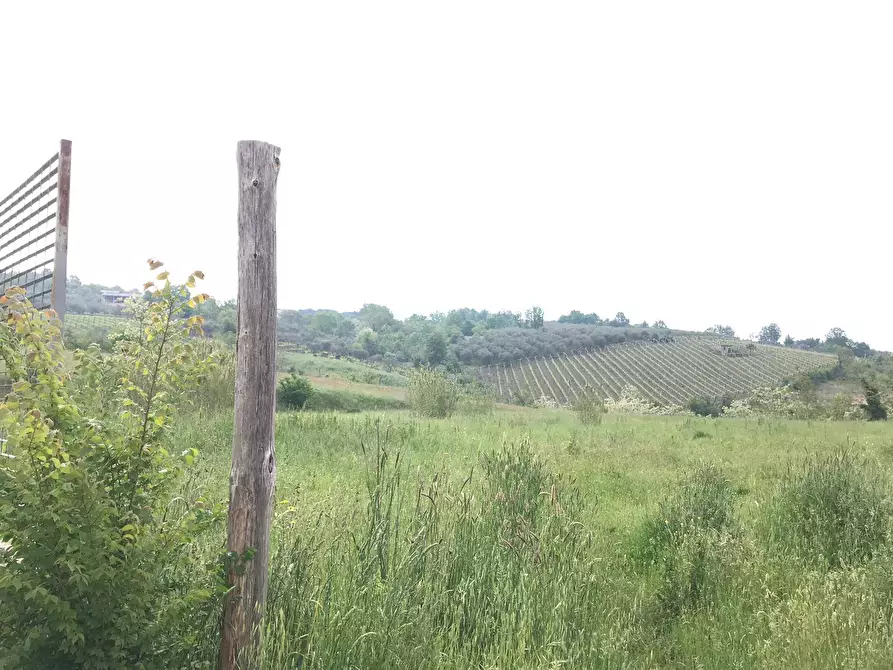 Immagine 2 di Terreno agricolo in vendita  in Foglianise a Benevento