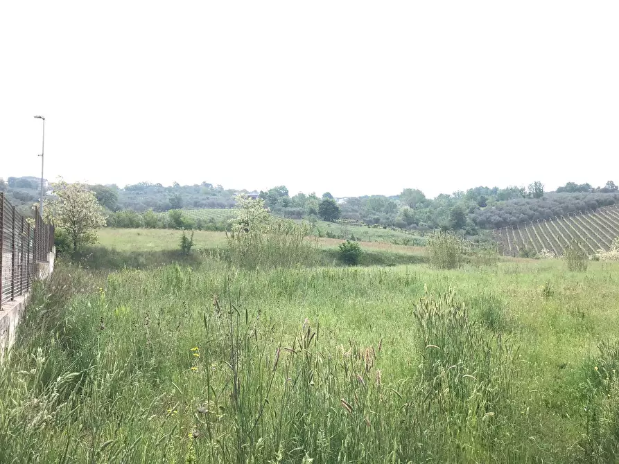 Immagine 3 di Terreno agricolo in vendita  in Foglianise a Benevento