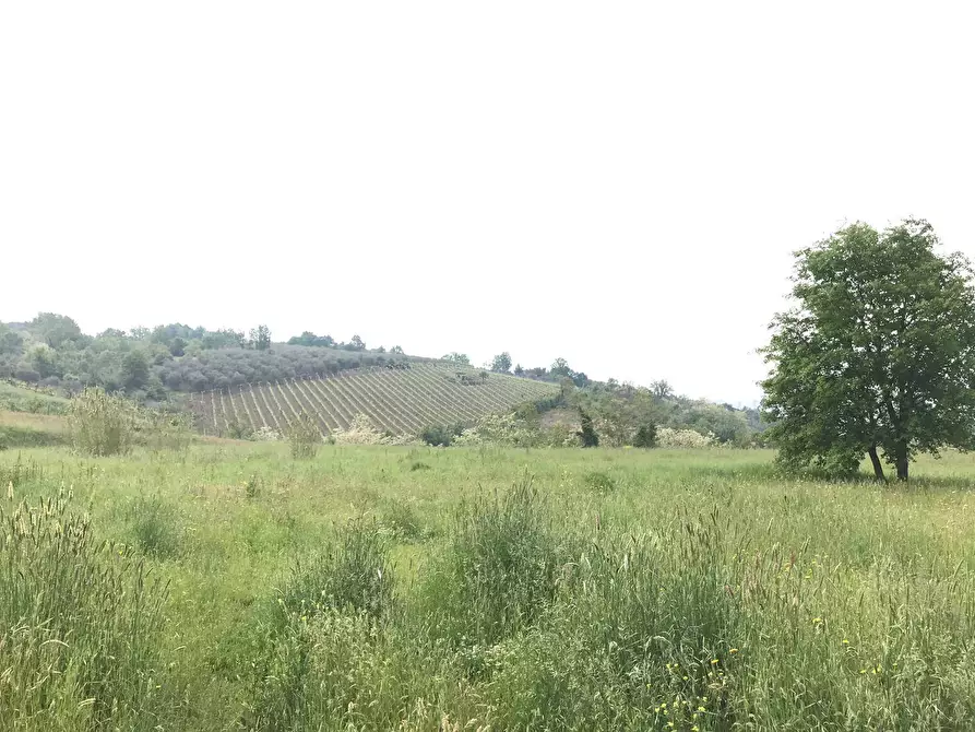 Immagine 4 di Terreno agricolo in vendita  in Foglianise a Benevento