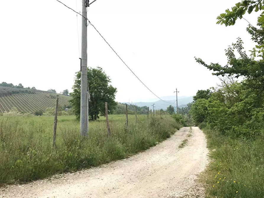 Immagine 6 di Terreno agricolo in vendita  in Foglianise a Benevento