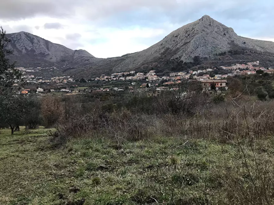 Immagine 2 di Terreno agricolo in vendita  in Foglianise snc a Apollosa