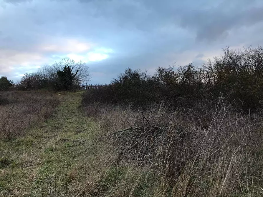 Immagine 4 di Terreno agricolo in vendita  in Foglianise snc a Apollosa