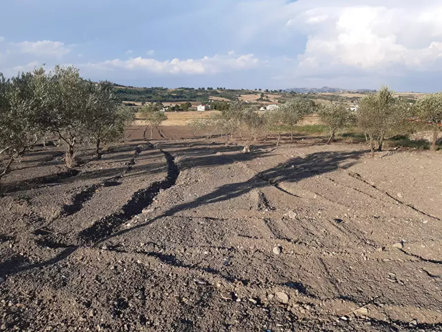 Immagine 15 di Casa indipendente in vendita  in Pietrelcina a Baselice