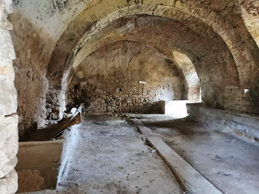 Immagine 16 di Palazzo in vendita  in contrada terra loggia a Baselice