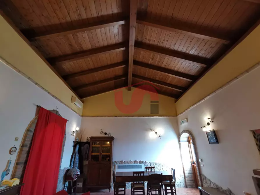 Immagine 12 di Casa indipendente in vendita  in Via Cesine snc a Calvi