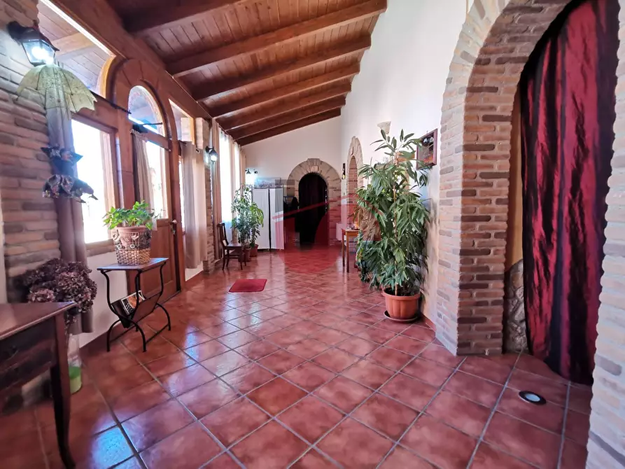 Immagine 9 di Casa indipendente in vendita  in Via Cesine snc a Calvi