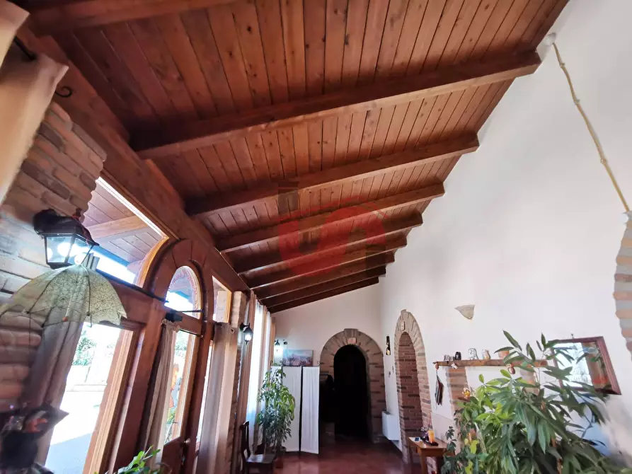 Immagine 20 di Casa indipendente in vendita  in Via Cesine snc a Calvi