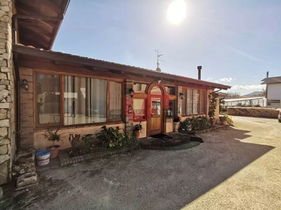 Immagine 11 di Casa indipendente in vendita  in Via Cesine snc a Calvi