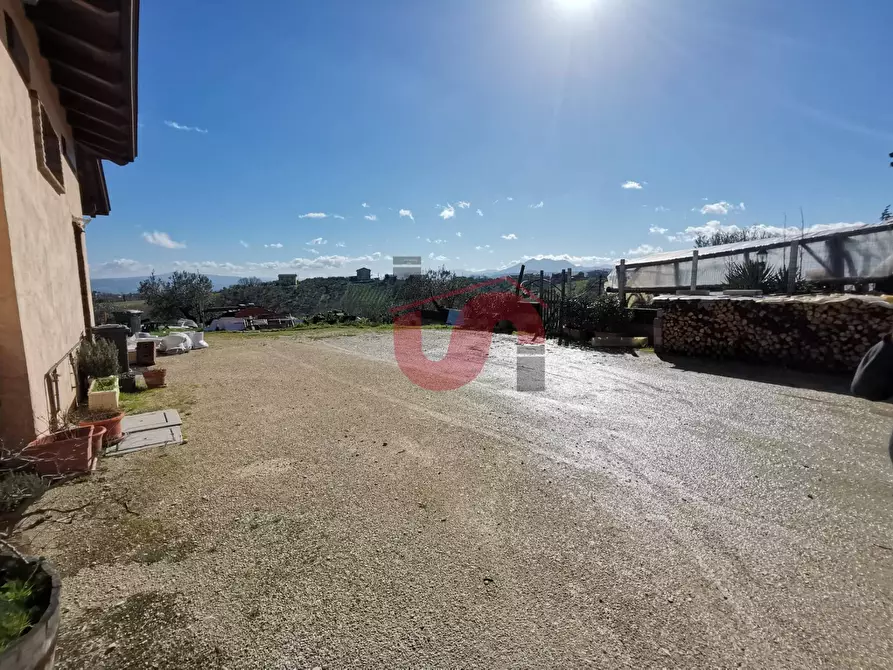 Immagine 51 di Casa indipendente in vendita  in Via Cesine snc a Calvi