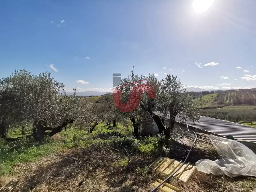 Immagine 33 di Casa indipendente in vendita  in Via Cesine snc a Calvi