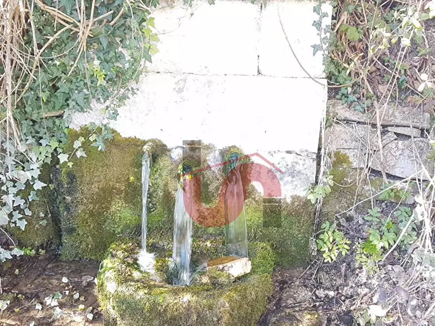 Immagine 32 di Rustico / casale in vendita  in Contrada Campolavoro a Riccia