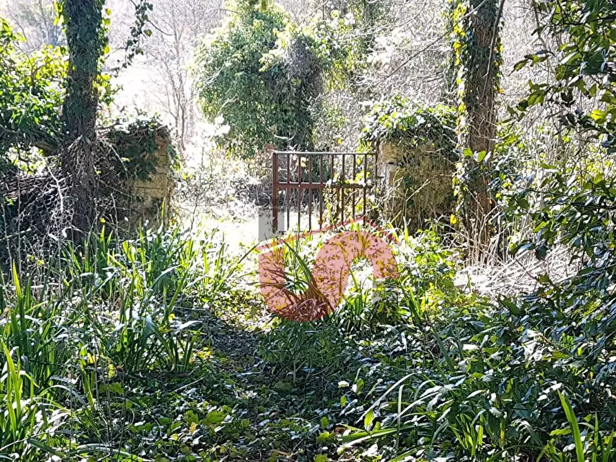 Immagine 34 di Rustico / casale in vendita  in Contrada Campolavoro a Riccia