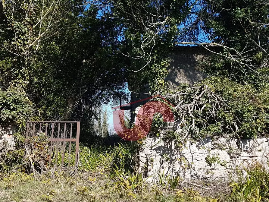 Immagine 35 di Rustico / casale in vendita  in Contrada Campolavoro a Riccia