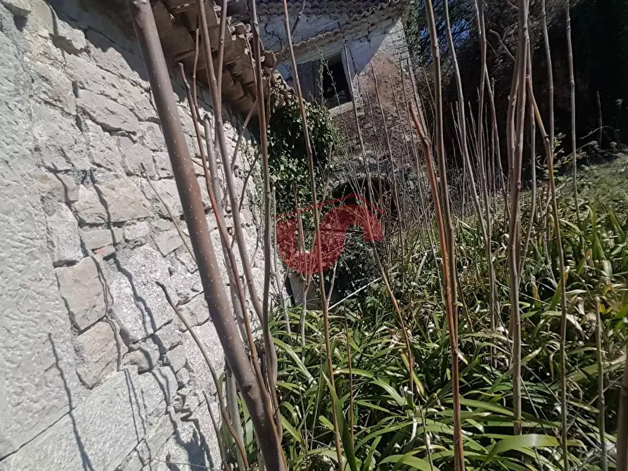 Immagine 3 di Rustico / casale in vendita  in Contrada Campolavoro a Riccia