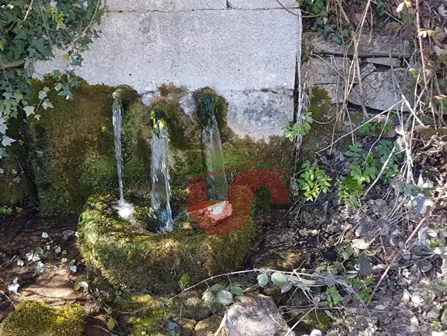 Immagine 49 di Rustico / casale in vendita  in Contrada Campolavoro a Riccia