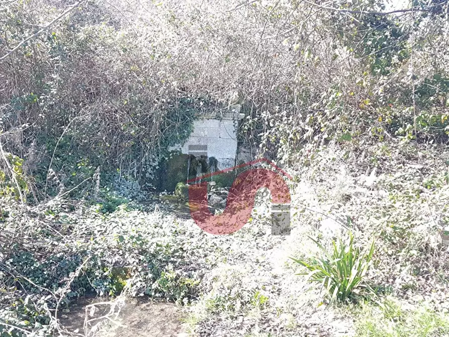 Immagine 52 di Rustico / casale in vendita  in Contrada Campolavoro a Riccia