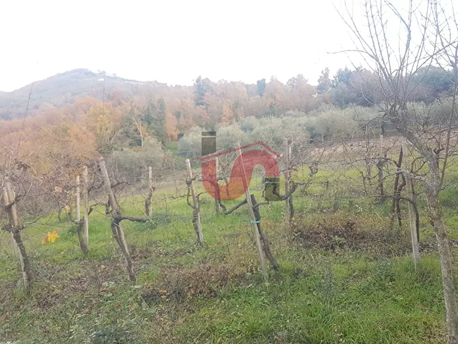 Immagine 7 di Terreno agricolo in vendita  in Contrada ponte valentino a Benevento
