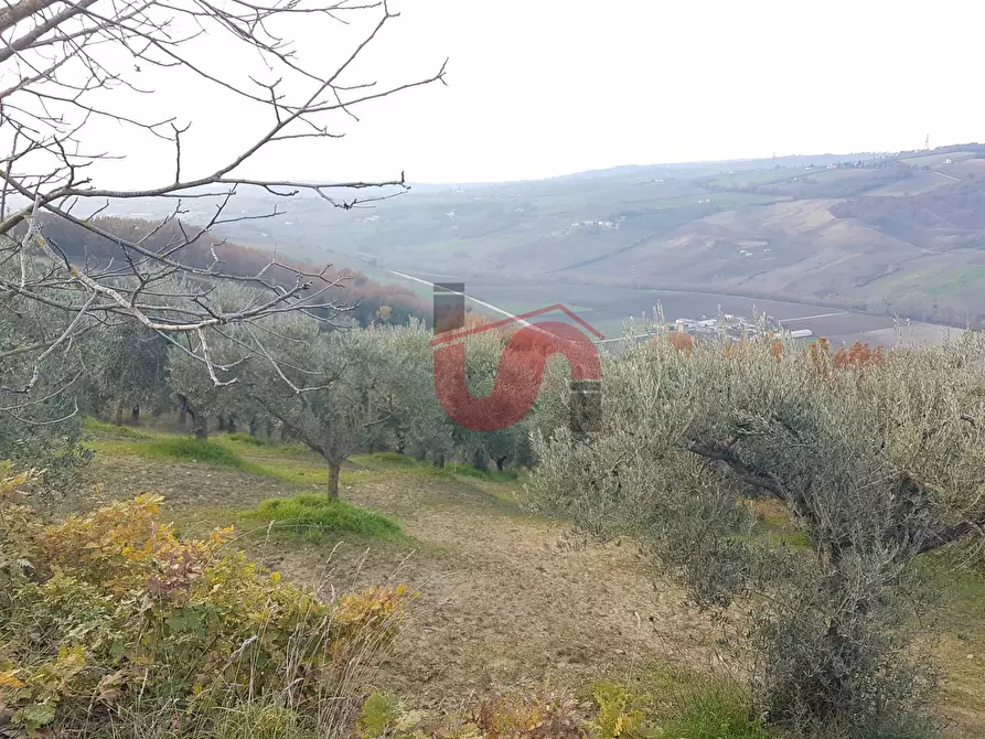 Immagine 6 di Terreno agricolo in vendita  in Contrada ponte valentino a Benevento