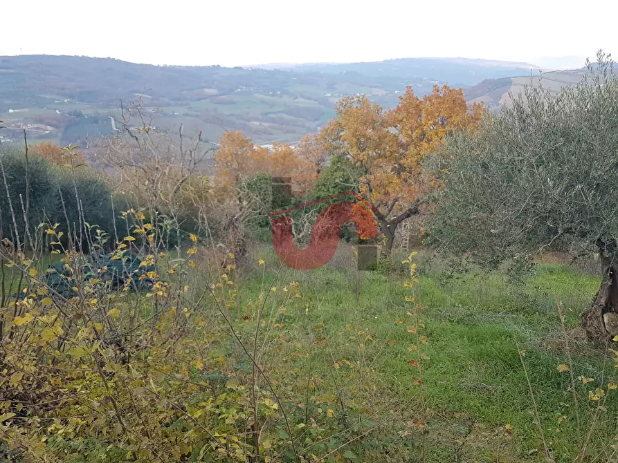 Immagine 12 di Terreno agricolo in vendita  in Contrada ponte valentino a Benevento