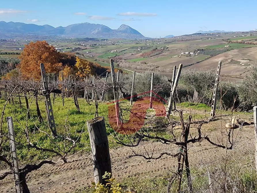 Immagine 2 di Terreno agricolo in vendita  in Contrada ponte valentino a Benevento